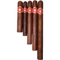 Punch Left Hook Maduro Sampler Premium Cigars Punch
