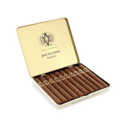 A close-up of AVO small premium cigars with dark brown wrappers and gold-embossed branding on the cigar bands.