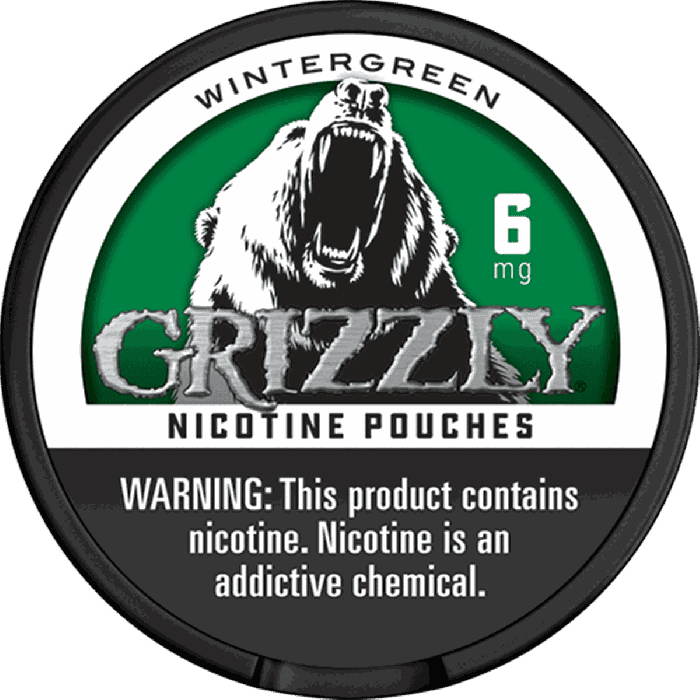 Grizzly Smokeless Nicotine Pouches Wintergreen flavor in a can, showing six pouches for discreet tobacco alternative use.
