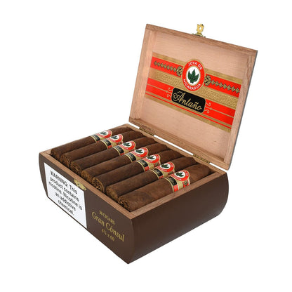 Joya de Nicaragua Antano Gran Consul premium cigar with dark wrapper and detailed band, showcasing a luxurious smoking experience.