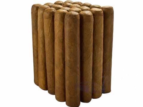 A close-up of a 100% Dominican Robusto cigar from 100% Dominican brand, showing the dark tobacco wrapper and cigar band.