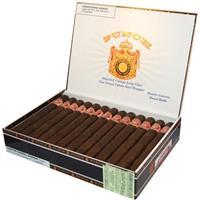 Box of Punch Classico Maduro premium cigars, Punch Double Corona Maduro in a 25-count box, featuring dark, oily cigar wrappers.